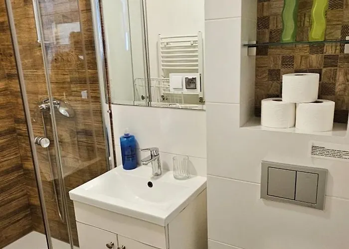 Joanna 公寓 格但斯克